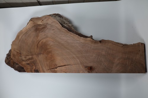 Orzech Kaukaski Fala Flame Caucasian Walnut