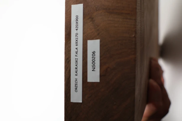 Orzech Kaukaski Fala Flame Caucasian Walnut