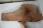 Orzech Kaukaski Fala Flame Caucasian Walnut
