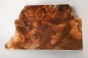 Orzech Kaukaski Caucasian Walnut