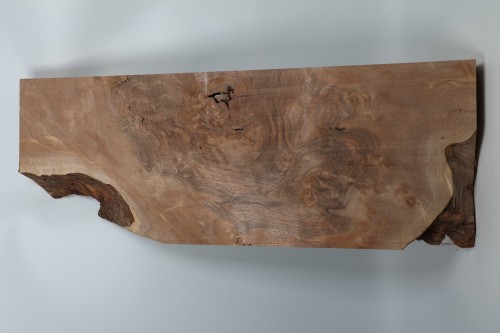 Orzech Kaukaski Caucasian Walnut