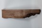 Orzech Kaukaski Caucasian Walnut