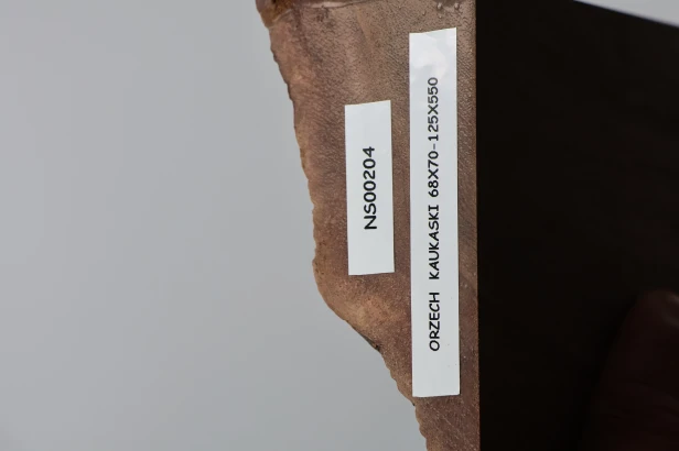 Orzech Kaukaski Caucasian Walnut