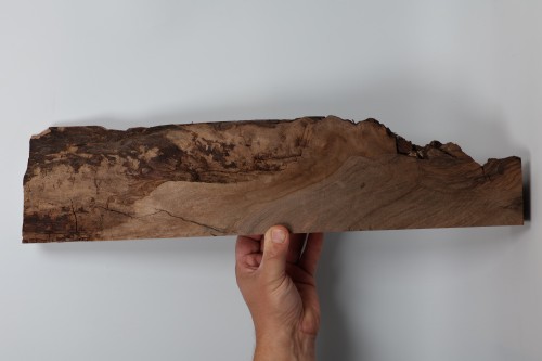 Orzech Kaukaski Caucasian Walnut