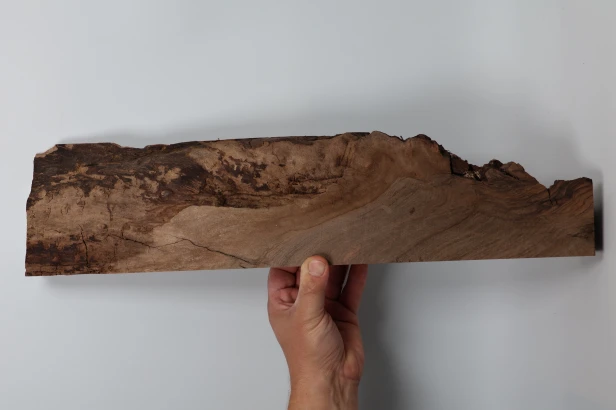 Orzech Kaukaski Caucasian Walnut