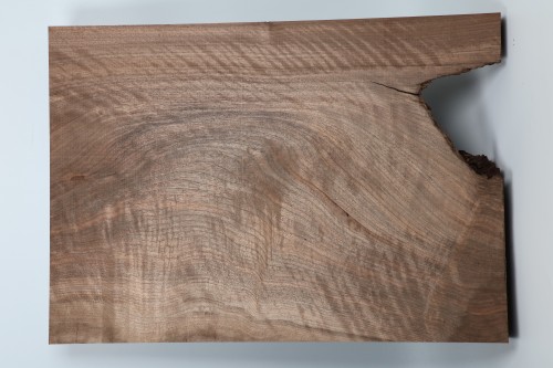 Orzech Kaukaski Fala Flame Caucasian Walnut deska drewniana drewno na kolby broń wooden board wood for gunstocks