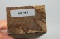 Orzech Kaukaski Spalted Caucasian Walnut drewno do toczenia kantówka wood for turning Timber