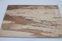 Klon Spalted Maple drewniany top na gitarę guitar top