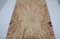 Buk Spalted Beech Wood drewniany top na gitarę guitar top