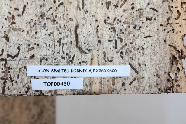 Klon Kornik Spalted Maple drewniany top na gitarę guitar top