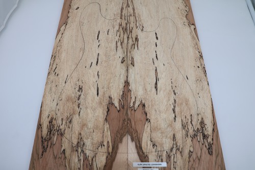Klon Spalted Maple drewniany top na gitarę guitar top