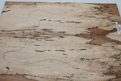Klon Spalted Maple drewniany top na gitarę guitar top