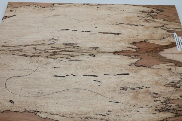 Klon Spalted Maple drewniany top na gitarę guitar top