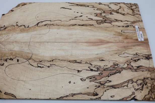 Klon Spalted Maple drewniany top na gitarę guitar top