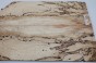 Klon Spalted Maple drewniany top na gitarę guitar top