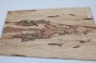 Klon Spalted Maple drewniany top na gitarę guitar top