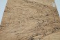 Jesion Spalted Ash drewniany top na gitarę guitar top