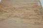 Jesion Spalted Fala Flame Ash drewniany top na gitarę guitar top