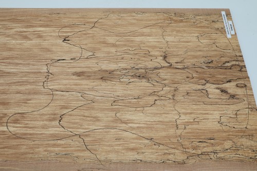 Jesion Spalted Fala Flame Ash drewniany top na gitarę guitar top