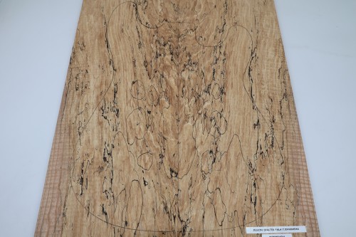 Jesion Spalted Fala Flame Ash drewniany top na gitarę guitar top