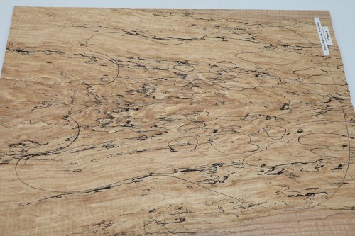Jesion Spalted Fala Flame Ash drewniany top na gitarę guitar top