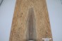 Jesion Spalted Fala Flame Ash drewniany top na gitarę guitar top