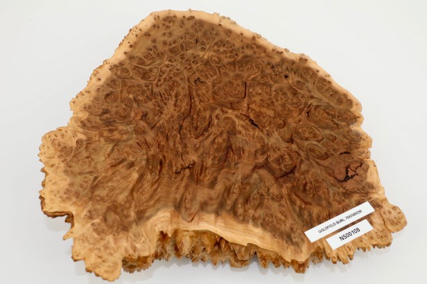 Drewno australijskie czeczot Goldfield Burl