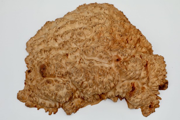 Drewno australijskie czeczot Goldfield Burl