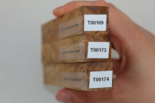 Klon spalted stabilizowany drewno do toczenia na długopis pen blank