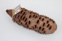 Szyszka Banksia Grandis