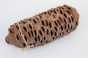Szyszka Banksia Grandis