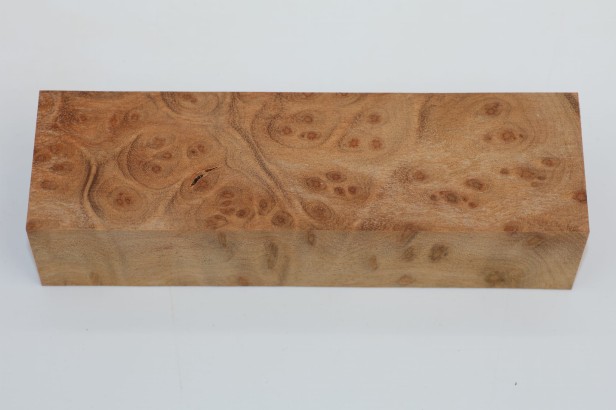 Kamfora czeczot camphor burl drewno na rękojeść noża wood for knifes