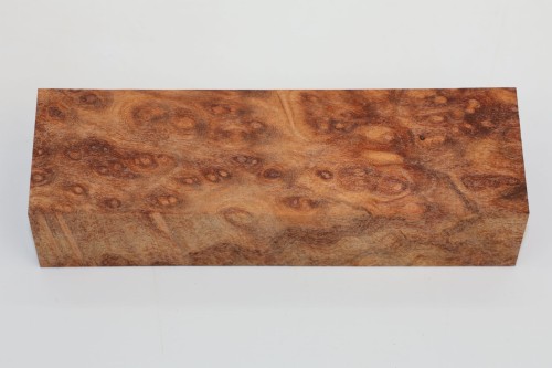 Kamfora czeczot camphor burl drewno na rękojeść noża wood for knifes