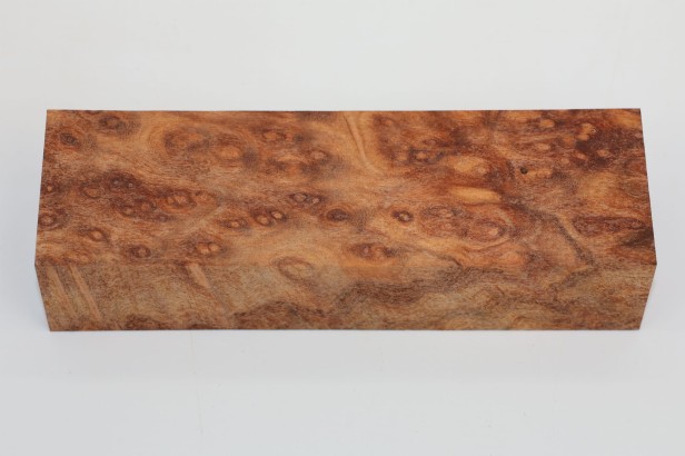 Kamfora czeczot camphor burl drewno na rękojeść noża wood for knifes