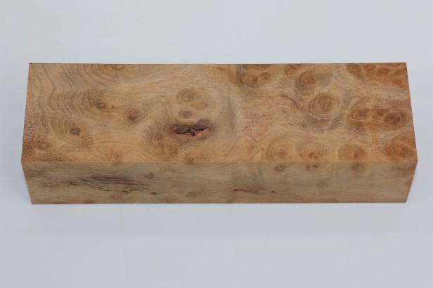 Kamfora czeczot camphor burl drewno na rękojeść noża wood for knifes