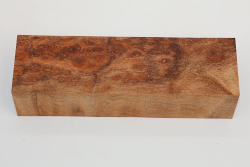 Kamfora czeczot camphor burl drewno na rękojeść noża wood for knifes