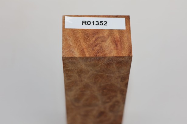 Kamfora czeczot camphor burl drewno na rękojeść noża wood for knifes