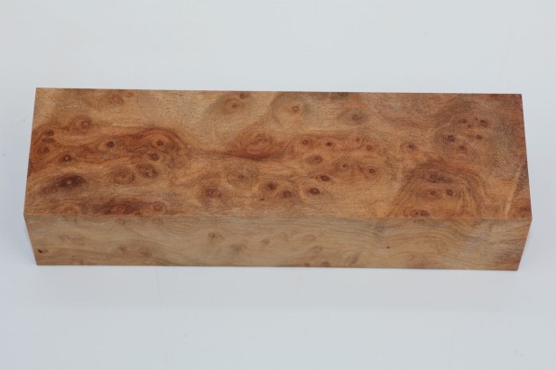 Kamfora czeczot camphor burl drewno na rękojeść noża wood for knifes