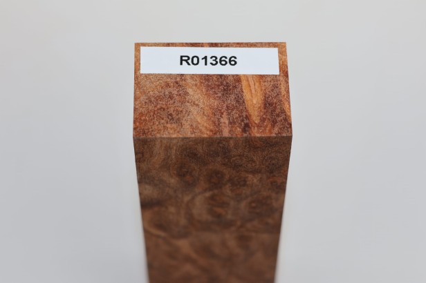 Kamfora czeczot camphor burl drewno na rękojeść noża wood for knifes