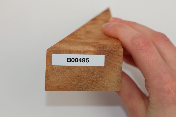 Kamfora czeczot camphor burl drewno na biżuterię wood for jewelry