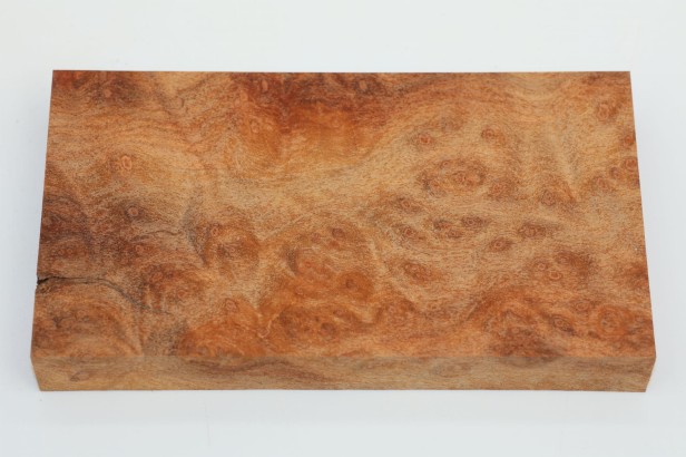 Kamfora czeczot camphor burl drewno na biżuterię wood for jewelry