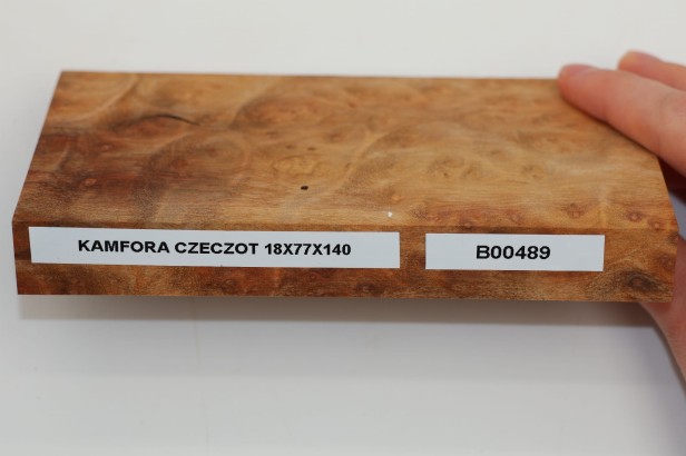 Kamfora czeczot camphor burl drewno na biżuterię wood for jewelry