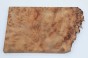 Kamfora czeczot camphor burl drewno na biżuterię wood for jewelry
