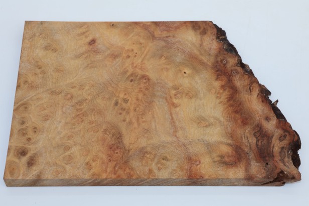 Kamfora czeczot camphor burl drewno na biżuterię wood for jewelry