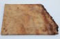 Kamfora czeczot camphor burl drewno na biżuterię wood for jewelry
