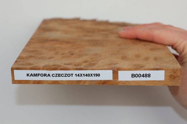 Kamfora czeczot camphor burl drewno na biżuterię wood for jewelry
