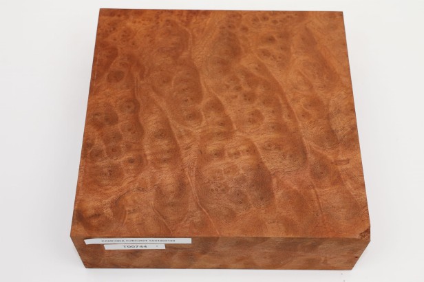 Kamfora czeczot camphor burl drewno do toczenia wood for turning