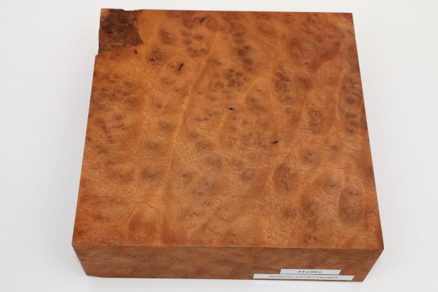 Kamfora czeczot camphor burl drewno do toczenia wood for turning