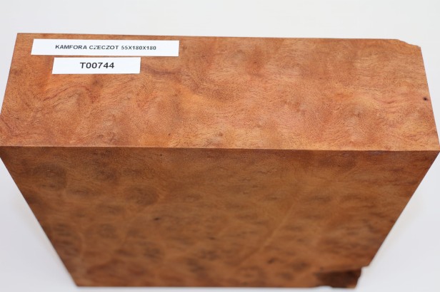 Kamfora czeczot camphor burl drewno do toczenia wood for turning