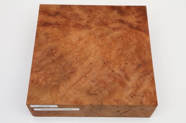 Kamfora czeczot camphor burl drewno do toczenia wood for turning